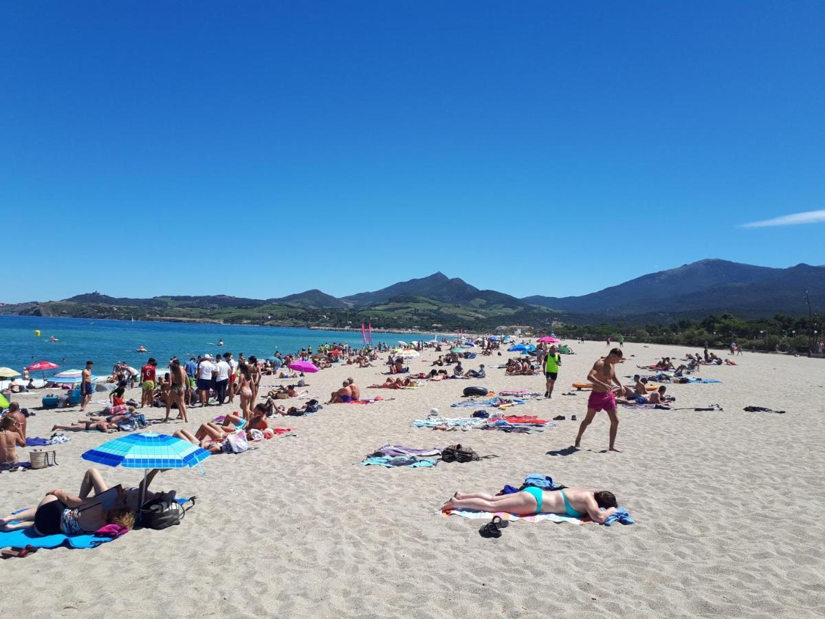 Plein Sud 142, Climatise Διαμέρισμα Argelès-sur-Mer Εξωτερικό φωτογραφία